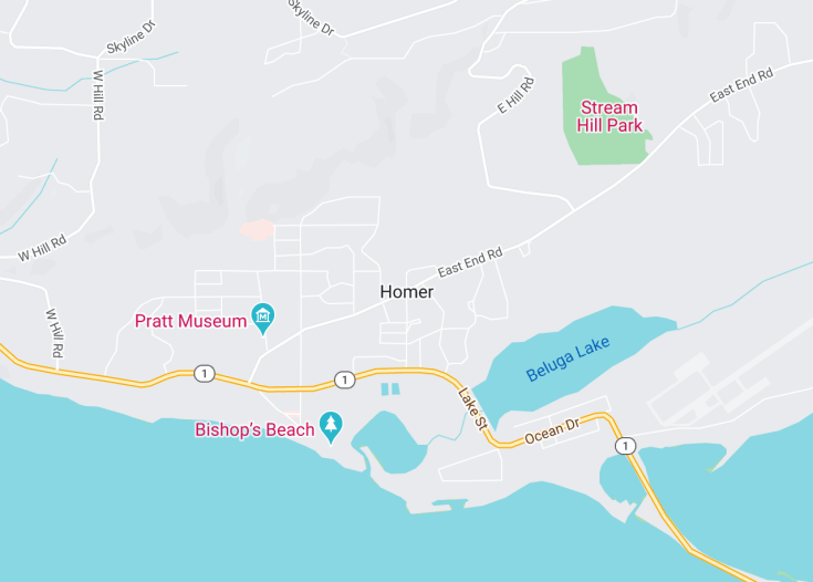 Map of Homer, Alaska (USA)