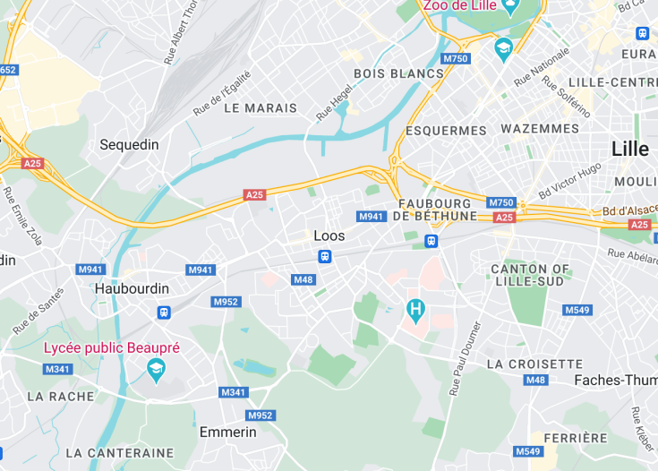 Map of Loos, Lille