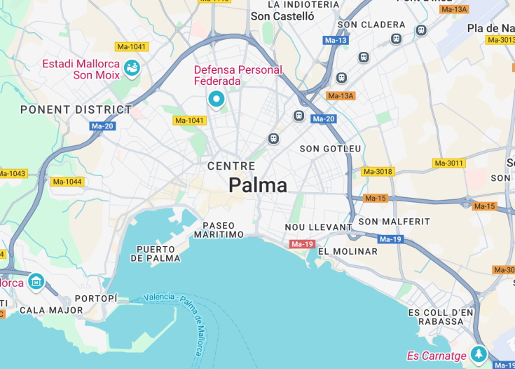 Map of Palma de Mallorca, Mallorca (Balearic Islands, Spain)